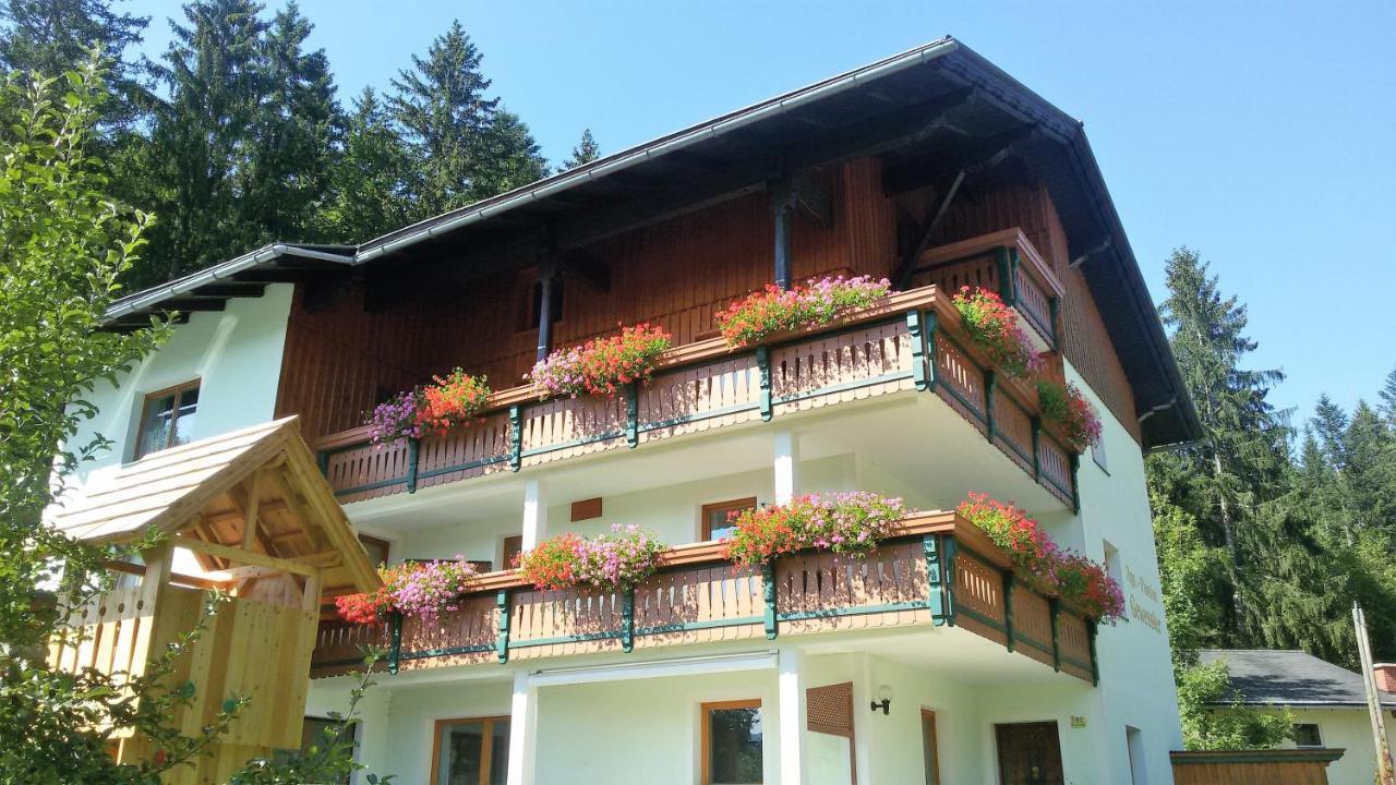Appartement-Pension Familie Gewessler Bad Mitterndorf Exterior foto