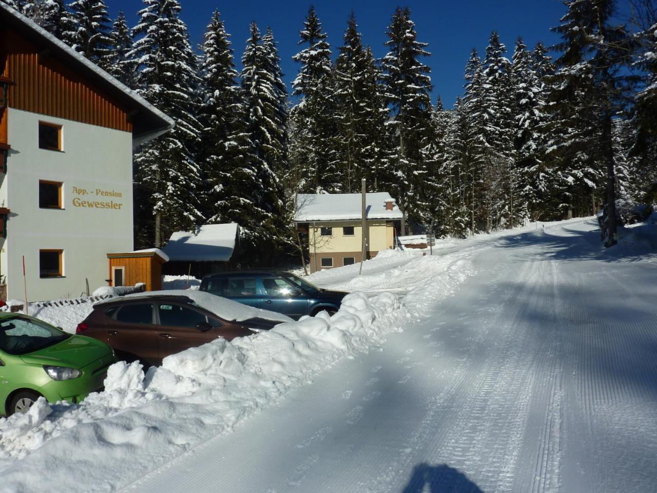 Appartement-Pension Familie Gewessler Bad Mitterndorf Exterior foto